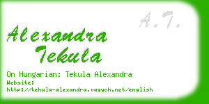 alexandra tekula business card